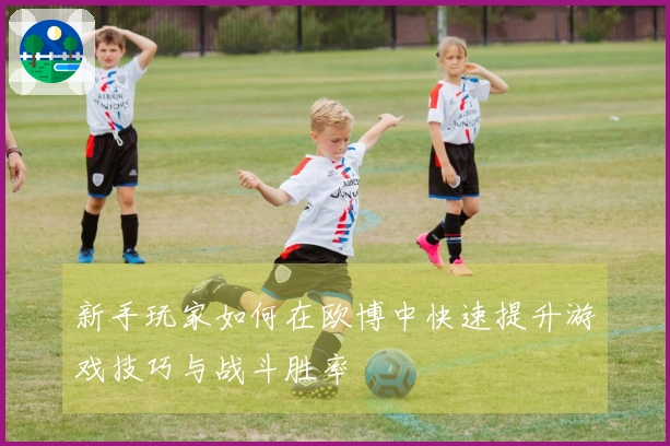 新手玩家如何在欧博中快速提升游戏技巧与战斗胜率